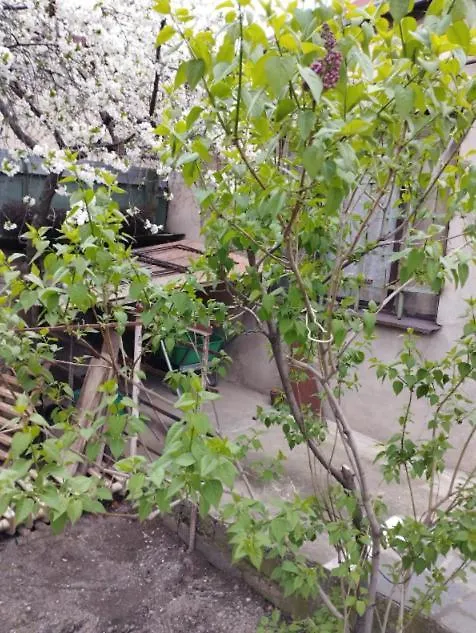Гостеприимный Дом С Радушными Хозяевами Apartment Tbilisi